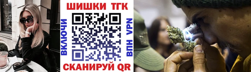 Бошки Шишки план  Злынка 